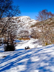 2018-01-05 · 12:03 · Pic Fourcat Bois de Courtalasses · Pyrénées, Pyrénées ariégeoises, Prades, FR · GPS 42°46'16.19'' N 1°51'19.60'' E · Altitude 1459m