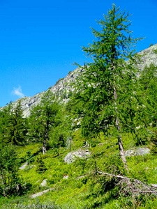 2017-06-20 · 08:56 · Lac Blanc Le Béchar · Alpes, Aiguilles Rouges, Vallée de Chamonix, FR · GPS 45°59'14.50'' N 6°55'3.20'' E · Altitude 1709m