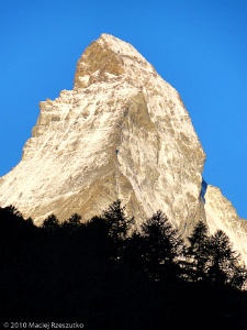 2010-07-31-06-27-34