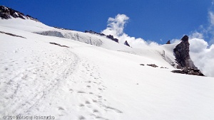 2016-07-26 · 11:36 · Grand Paradis Glacier du Grand Paradis · Alpes, Massif du Grand Paradis, Valsavarenche, IT · GPS 45°30'50.09'' N 7°15'32.72'' E · Altitude 3606m