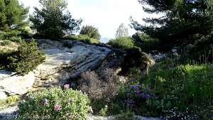 2015-04-23-09-16-59