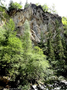 2011-07-22-12-02-52
