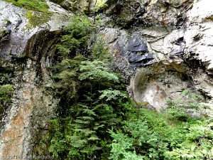 2011-07-22-12-11-28