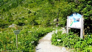2016-07-16 · 10:06 · Tête aux Vents Col des Montets · Alpes, Aiguilles Rouges, FR · GPS 46°0'13.52'' N 6°55'22.93'' E · Altitude 1461m