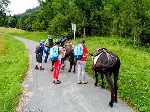 2017-07-11 · 10:24 · Cham'kid À dos d'âne Vaudagne · Alpes, Massif du Mont-Blanc, Vallée de Chamonix, FR · GPS 45°54'22.01'' N 6°45'40.70'' E · Altitude 1100m