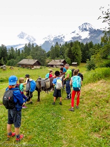 2017-07-11 · 11:00 · Cham'kid À dos d'âne Charousse · Alpes, Massif du Mont-Blanc, Vallée de Chamonix, FR · GPS 45°54'4.75'' N 6°45'53.32'' E · Altitude 1202m
