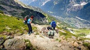 2017-07-16 · 15:17 · Le Brévent Sentier du Col du Brévent · Alpes, Aiguilles Rouges, Vallée de Chamonix, FR · GPS 45°56'26.06'' N 6°50'41.20'' E · Altitude 2294m