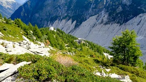 2017-07-17 · 09:37 · Signal Forbes Sentier Montenvers-Signal · Alpes, Massif du Mont-Blanc, Vallée de Chamonix, FR · GPS 45°55'46.33'' N 6°54'57.27'' E · Altitude 2013m