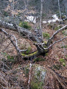 2006-04-23-10-23-29