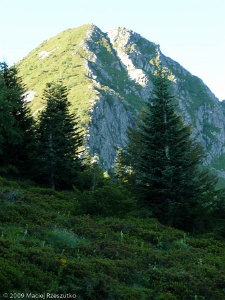 2009-07-19-08-17-27