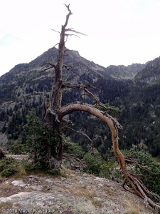 2010-10-03-10-04-35