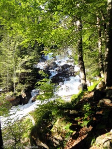 2011-05-22-07-38-55