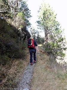 2011-11-11-11-01-06