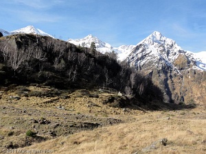 2011-11-11-11-43-46