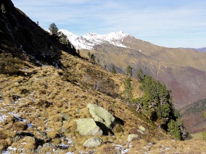 2011-11-11-13-30-02