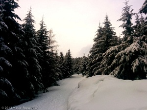 2013-12-25-14-43-59