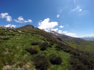 2014-05-17-12-15-01