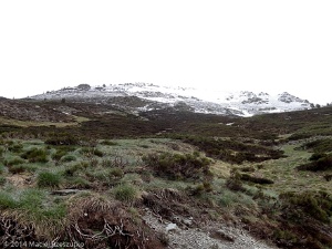 2014-05-29-11-14-55