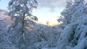 2014-12-29-08-58-23