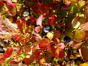 2015-10-10-16-03-07