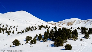 2017-02-17 · 10:23 · Pic de Casamanya Costa del Lloser · Pyrénées, Catalogne, Canillo, AD · GPS 42°34'7.13'' N 1°34'16.76'' E · Altitude 2055m