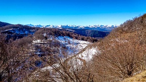 2018-01-05 · 11:52 · Pic Fourcat Bois de Courtalasses · Pyrénées, Pyrénées ariégeoises, Prades, FR · GPS 42°46'4.65'' N 1°51'19.65'' E · Altitude 1401m