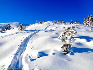2018-01-28 · 09:25 · Pic d'Estibat Crête du Pic d’Estibat · Pyrénées, Pyrénées ariégeoises, Massif des Trois Seigneurs, FR · GPS 42°53'45.41'' N 1°27'7.51'' E · Altitude 1342m