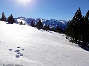 2012-12-23-14-51-18
