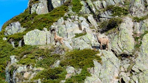 2017-06-13 · 09:37 · Le Brévent Refuge de Bel Lachat · Alpes, Aiguilles Rouges, FR · GPS 45°55'20.33'' N 6°49'42.13'' E · Altitude 2123m