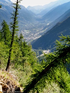 2017-06-21 · 09:06 · La Jonction Montagne de la Côte · Alpes, Massif du Mont-Blanc, Vallée de Chamonix, FR · GPS 45°53'21.28'' N 6°50'56.75'' E · Altitude 1778m