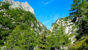 2017-08-13 · 09:22 · Mont Buet par Cheval Blanc Vallon de Tré les Eaux · Alpes, Préalpes de Savoie, Aiguilles Rouges, FR · GPS 46°1'22.64'' N 6°53'44.54'' E · Altitude 1731m