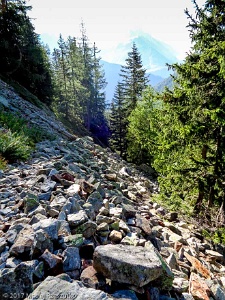 2017-08-13 · 09:22 · Mont Buet par Cheval Blanc Vallon de Tré les Eaux · Alpes, Préalpes de Savoie, Aiguilles Rouges, FR · GPS 46°1'22.74'' N 6°53'44.67'' E · Altitude 1731m