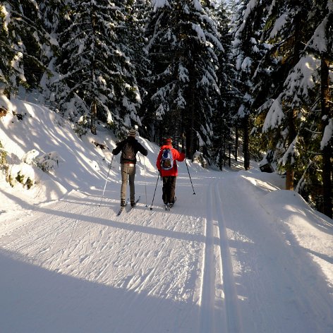 Cross-Country Skiing