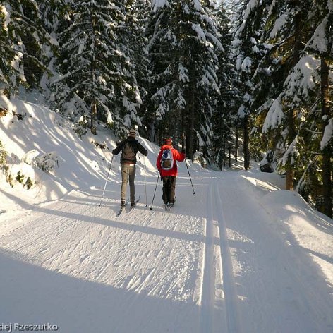 Skiing